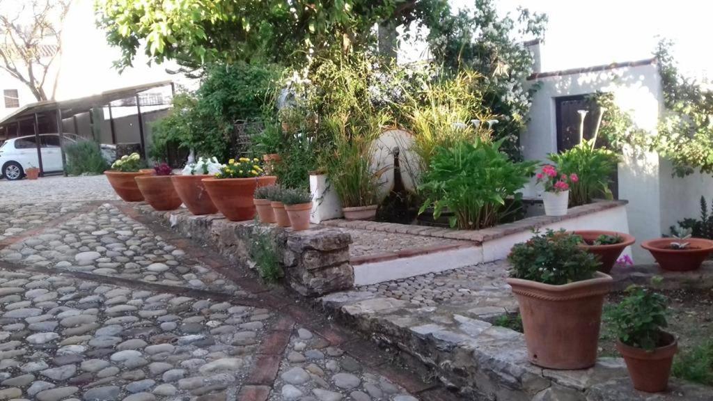 Villa Casas De Almajar Prado Del Rey Exterior foto