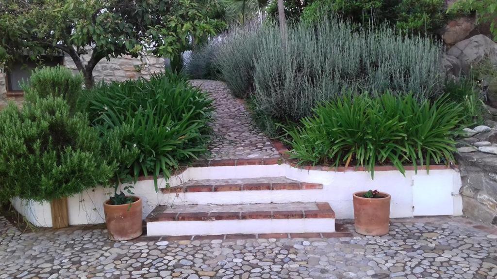 Villa Casas De Almajar Prado Del Rey Exterior foto