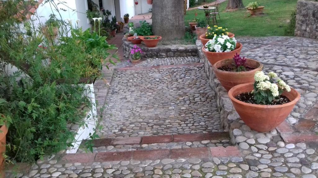 Villa Casas De Almajar Prado Del Rey Exterior foto